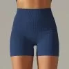 9310-shorts-dark-blue