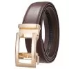 nylon-gold-118-coffee-belt