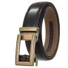 bronze-3633-black-belt