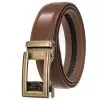 bronze-3633-brown-belt